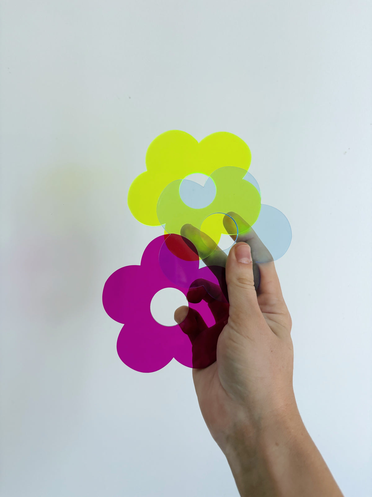 coaster ✿  FLOWER PURPLE