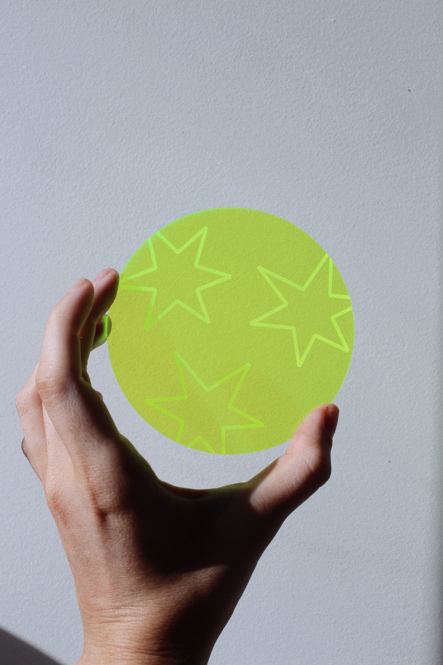 coaster ✺ sunshine