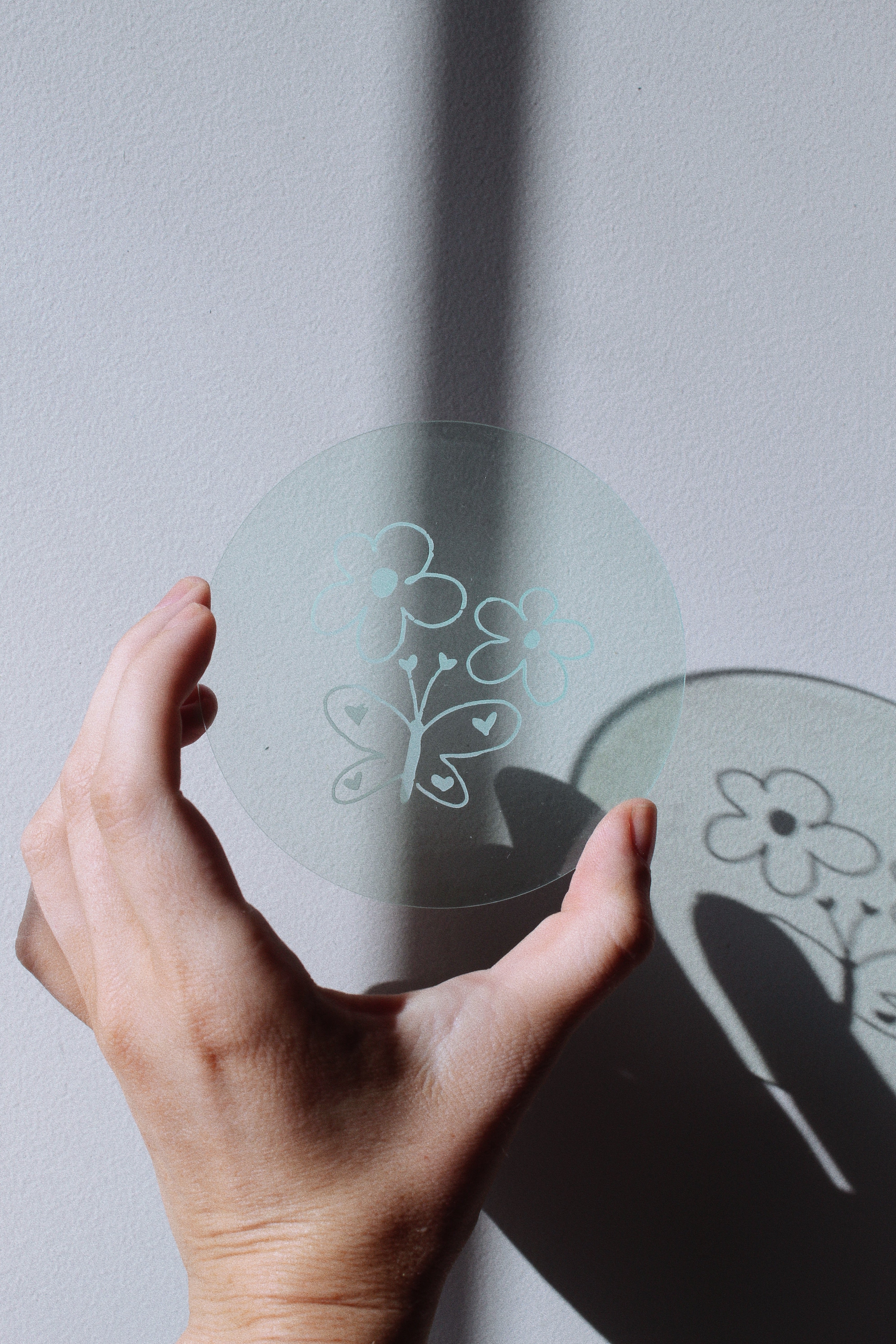 coaster ✺ butterfly